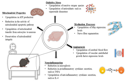 Hbot u neurologických onemocnění: příznivé molekulární a terapeutické účinky
